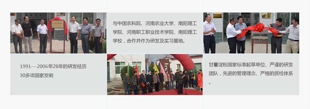 标准型淀粉生产线